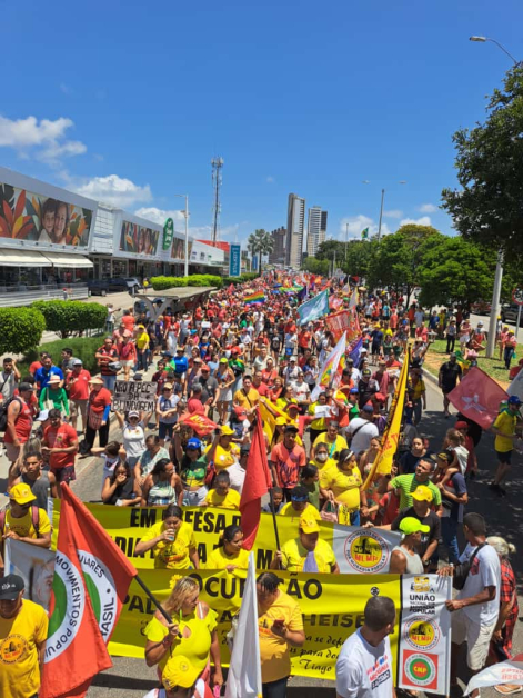 Foto: Concita Alves