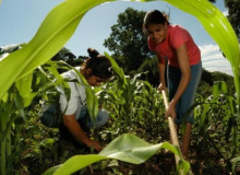 1ª Feira Nordestina da Agricultura Familiar e Economia Solidária acontece em Natal